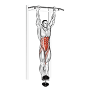 Weighted hanging leg-hip raise demonstration