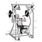 Lever shoulder press v. 2 demonstration