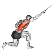 Band kneeling one arm pulldown demonstration