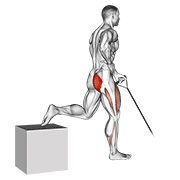 Band one arm single leg split squat demonstration