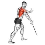 Band one arm standing low row demonstration
