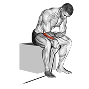 Band reverse wrist curl demonstration