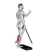 Band single leg calf raise demonstration