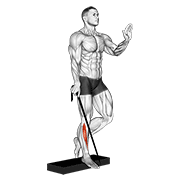 Band single leg reverse calf raise demonstration