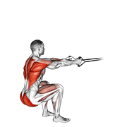 Band squat row demonstration