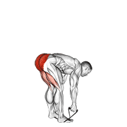 Band stiff leg deadlift demonstration