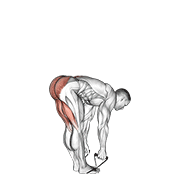 Band straight leg deadlift demonstration