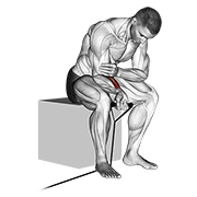 Band wrist curl demonstration