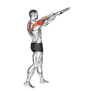 Band standing rear delt row demonstration