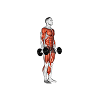 Dumbbell burpee demonstration