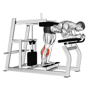 Lever donkey calf raise demonstration