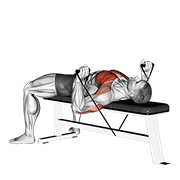 Band bench press demonstration