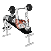 Barbell decline pullover demonstration