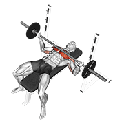 Barbell wide reverse grip bench press demonstration