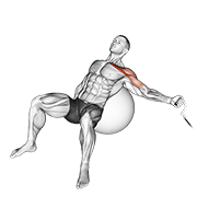Cable one arm incline fly on exercise ball demonstration