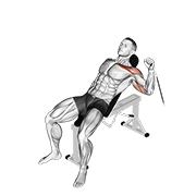Cable one arm incline press demonstration