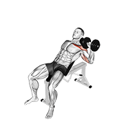 Dumbbell incline one arm press demonstration