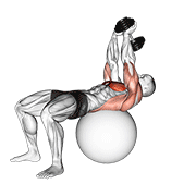 Dumbbell lying pullover on exercise ball demonstration