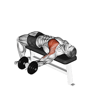 Dumbbell one arm bench fly demonstration