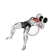 Dumbbell one arm press on exercise ball demonstration
