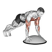 Push up on bosu ball demonstration