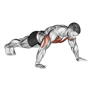Wide hand push up demonstration