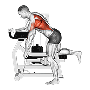 Lever unilateral row demonstration