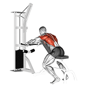 Cable incline bench row demonstration