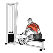Cable rope crossover seated row demonstration