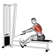 Cable rope elevated seated row demonstration