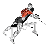 Cable rope extension incline bench row demonstration