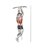 Close grip chin-up demonstration