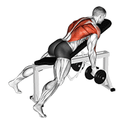 Dumbbell lying rear delt row demonstration