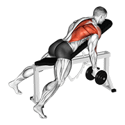 Dumbbell reverse grip incline bench one arm row demonstration