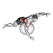 Exercise ball alternating arm ups demonstration