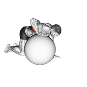 Exercise ball lat stretch demonstration