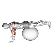Exercise ball prone leg raise demonstration