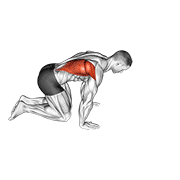 Kneeling lat stretch demonstration