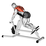 Lever reverse t-bar row demonstration