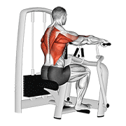 Lever seated row demonstration
