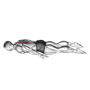 Lower back curl demonstration