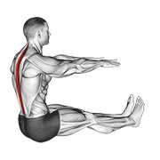 Spine stretch demonstration
