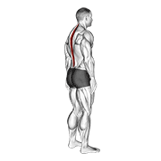 Standing pelvic tilt demonstration