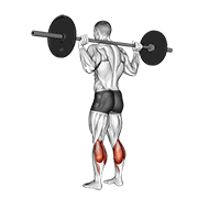 Barbell floor calf raise demonstration