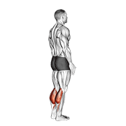 Bodyweight standing calf raise demonstration