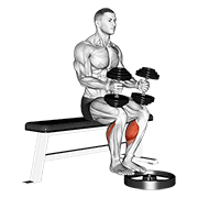Dumbbell seated calf raise demonstration