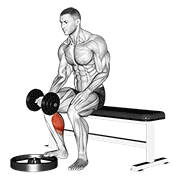 Dumbbell seated one leg calf raise - palm up demonstration