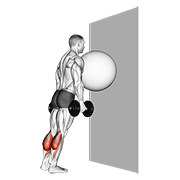 Exercise ball on the wall calf raise demonstration