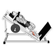 Hack one leg calf raise demonstration