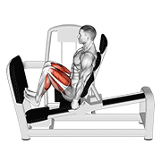 Lever seated squat calf raise on leg press machine demonstration